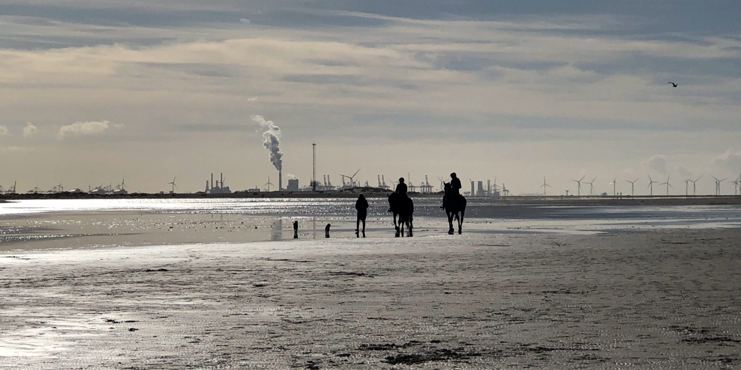 ontmoeten op het strand