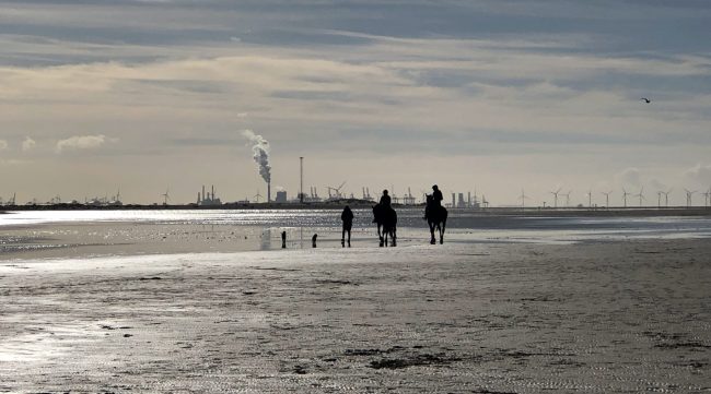 IMG_6313 ontmoeten op het strand